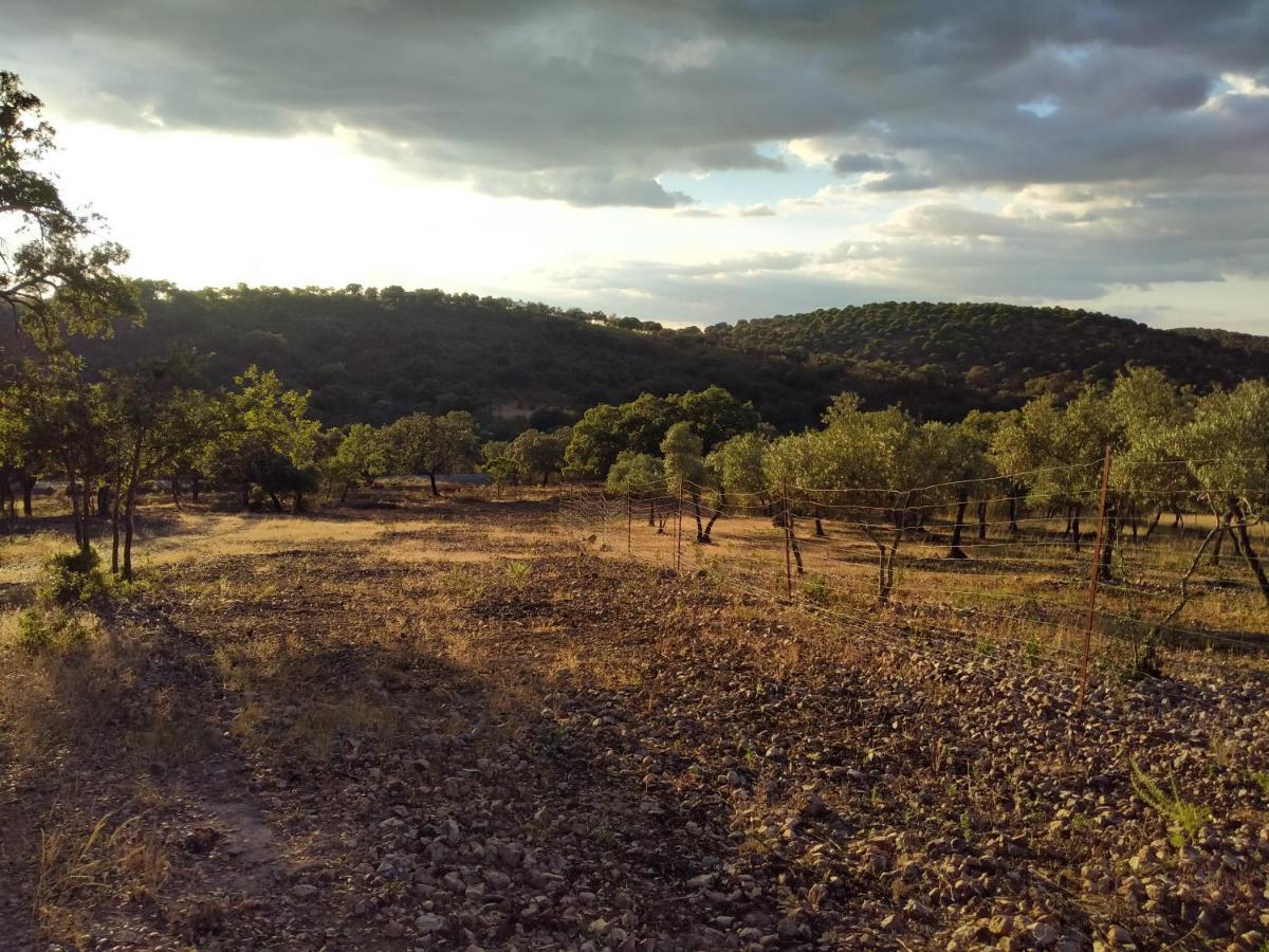 La Romera Villanueva del Duque Exteriör bild